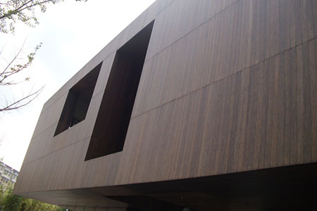 outside bamboo siding