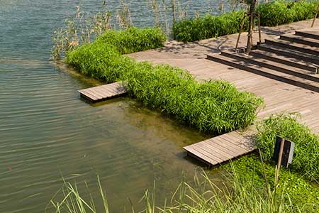 dassoXTR fused bamboo decking used in a walkway and dock along the water at Shanghai Houtan Park