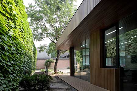 Bamboo decking and siding used on exterior of Swiss Embassy building